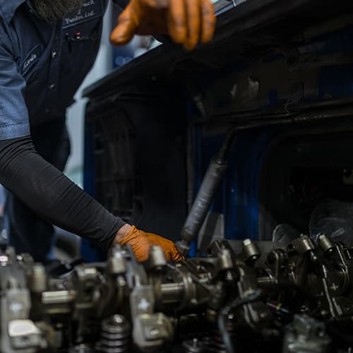 Belt and hose inspection and replacement service